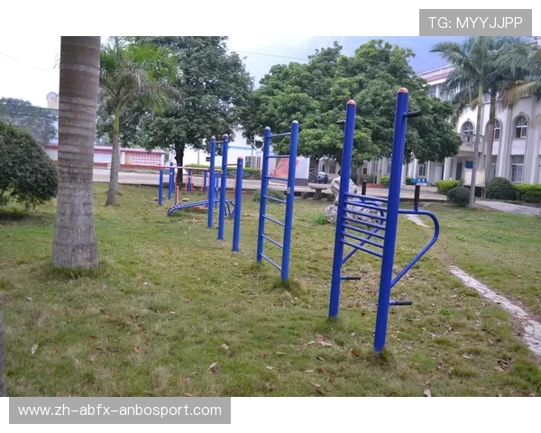 常见室外健身器材种类与功能详解