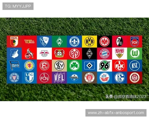 被称为“土豪”的德甲球队盘点及支出概况 被称为“土豪”的德甲球队盘点及支出概况